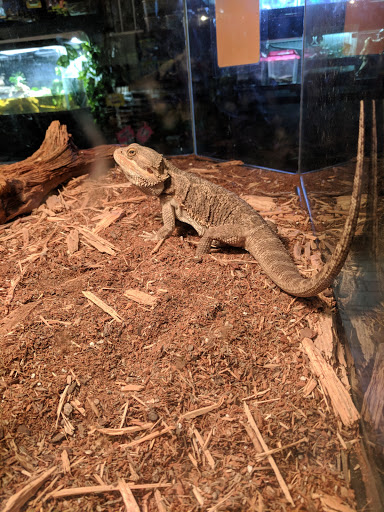 Pet Store «Exotic Tropical Petworld LLC.», reviews and photos, 1716 W Hackberry Ave, McAllen, TX 78501, USA