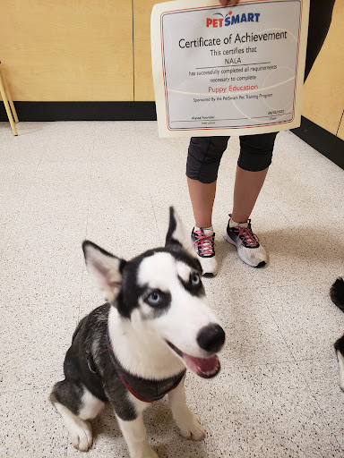 Pet Supply Store «PetSmart», reviews and photos, 14420 Farm to Market 2920, Tomball, TX 77377, USA