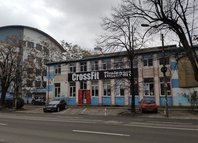 CrossFit Timișoara