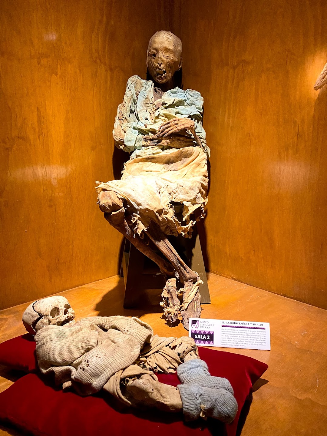Museo de momias