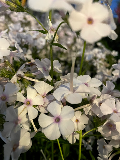 Home Improvement Store «The Home Depot», reviews and photos, 899 County St, Taunton, MA 02780, USA