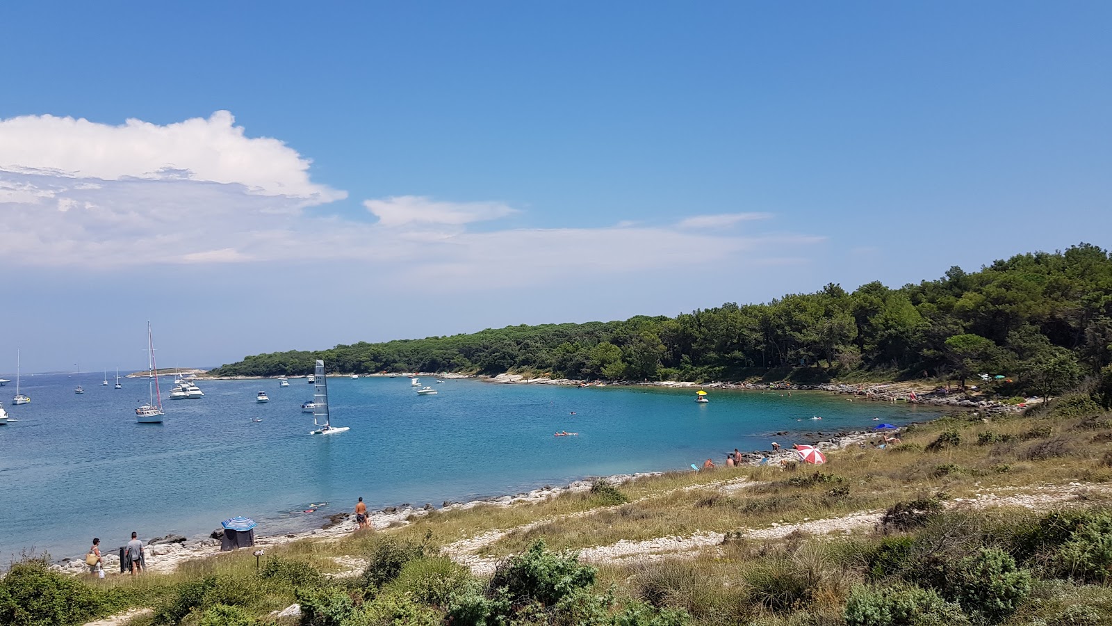 Fotografie cu Uvala Portic amplasat într-o zonă naturală