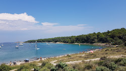 Photo de Uvala Portic situé dans une zone naturelle