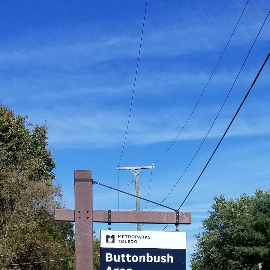 Buttonbush Area