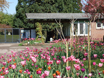 Loki Schmidt Garten Botanischer Garten der Universität Hamburg