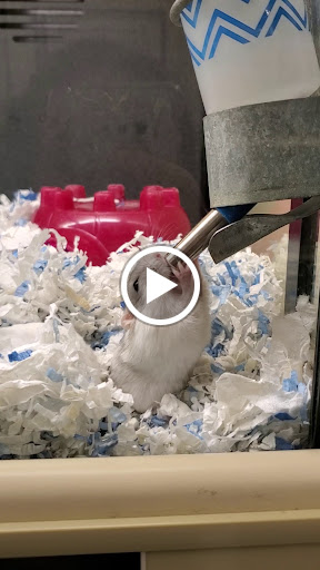 Pet Supply Store «PetSmart», reviews and photos, 830 Pelham Pkwy, Pelham, NY 10803, USA