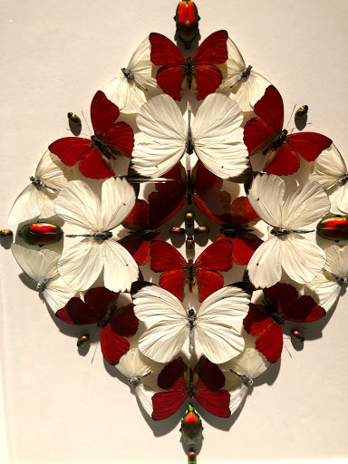 Museum «OMSI», reviews and photos, 1945 SE Water Ave, Portland, OR 97214, USA