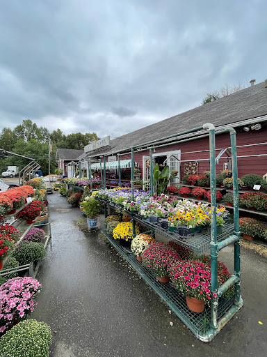 Garden Center «Ivy Corner Garden Center Gift Shop», reviews and photos, 4305 Ivy Rd, Charlottesville, VA 22903, USA