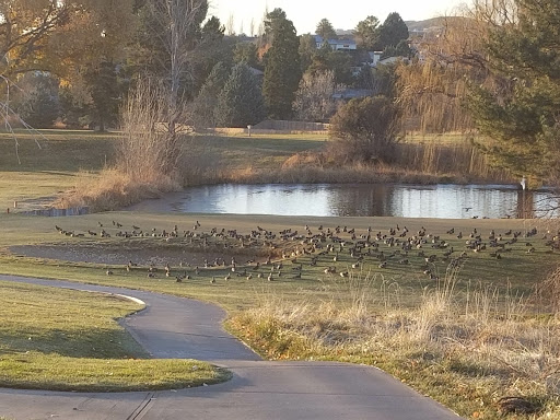 Golf Course «Prescott Country Club», reviews and photos, 1030 Prescott Country Club Blvd, Dewey, AZ 86327, USA