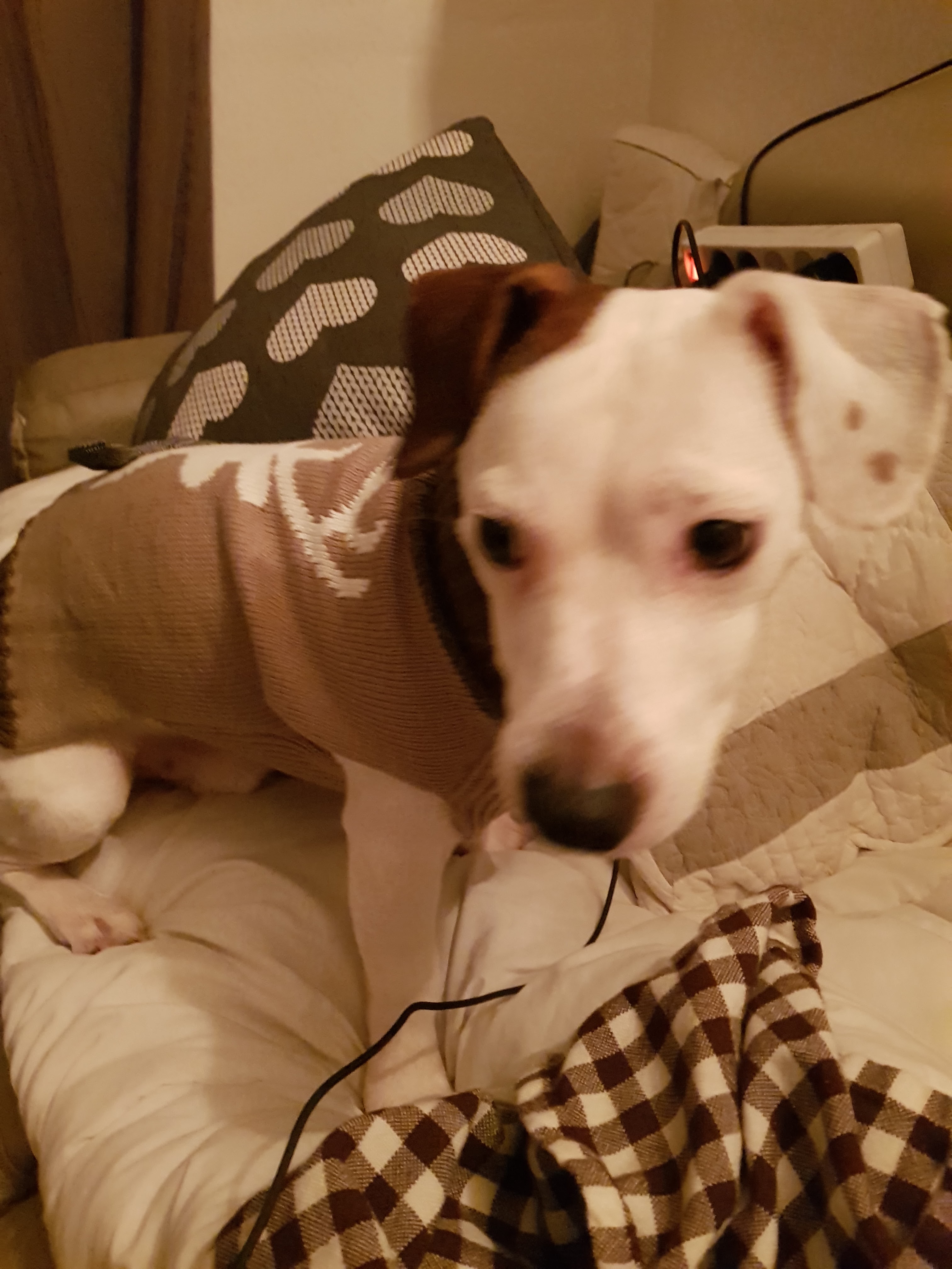 Photo n° 1 de l'avis de Joséphine.a fait le 16/03/2019 à 06:05