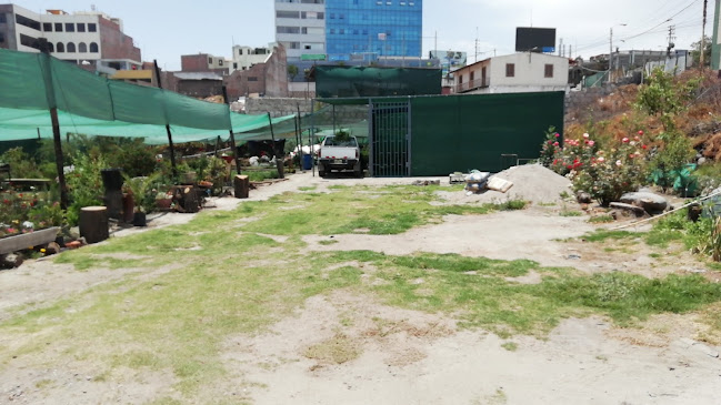 Opiniones de Vivero primavera AQP en Arequipa - Centro de jardinería
