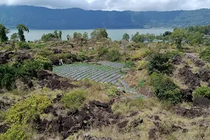 GEOSITE TUMULI TOYA BUNGKAH image