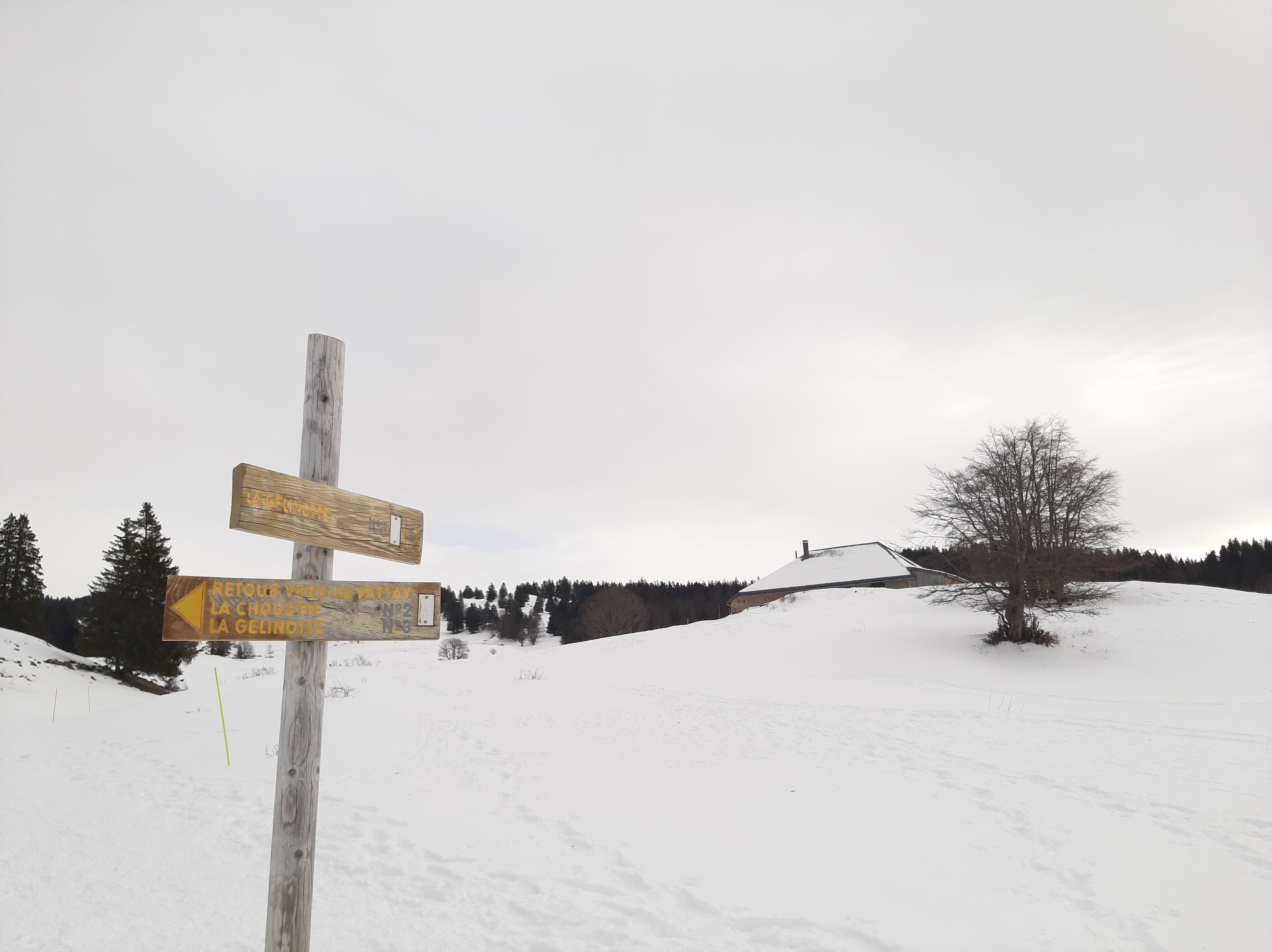 Photo n° 2 de l'avis de LEBOUIS.a fait le 16/01/2024 à 15:41