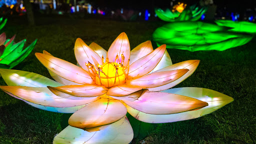 Performing Arts Theater «McAllen Performing Arts Center», reviews and photos, 801 Convention Center boulevard, McAllen, TX 78501, USA