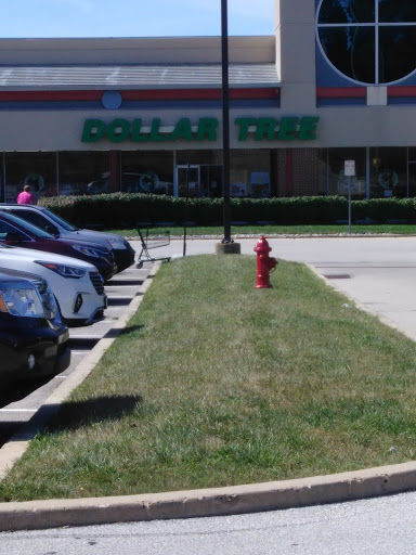 Dollar Store «Dollar Tree», reviews and photos, 3200 Ridge Pike, Eagleville, PA 19403, USA