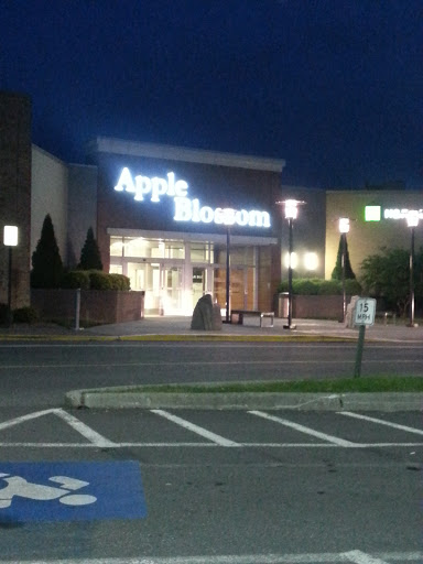 Shopping Mall «Apple Blossom Mall», reviews and photos, 1850 Apple Blossom Dr, Winchester, VA 22601, USA