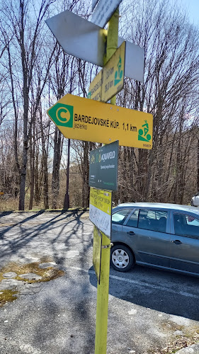 [P] Parkovisko Liečebné kúpele Bardejov
