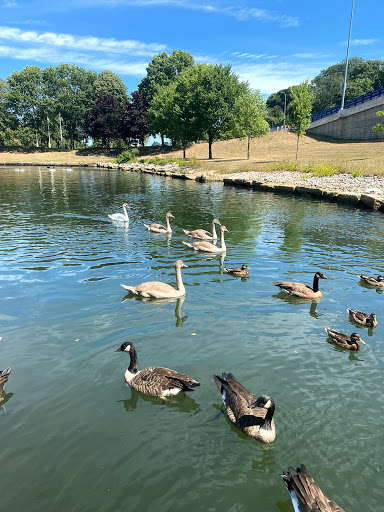 History Museum «Battleship Cove», reviews and photos, 5 Water St, Fall River, MA 02721, USA
