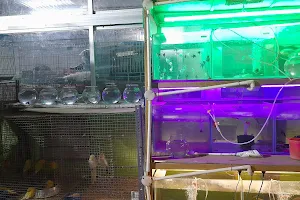 Sudhir Pet Shop And Kennel image