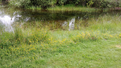 Park «Meridian Habitat Park & Community Center», reviews and photos, 14422 Meridian E, Puyallup, WA 98375, USA