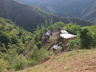 Mıla feto çakar kulp