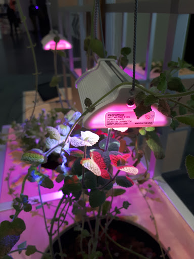 Art Museum «Museum Of Contemporary Art Chicago», reviews and photos, 220 E Chicago Ave, Chicago, IL 60611, USA