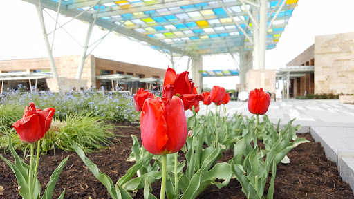 Park «Summit Park», reviews and photos, 4335 Glendale Milford Rd, Blue Ash, OH 45242, USA