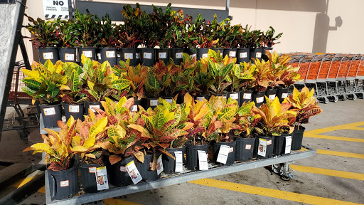 Home Improvement Store «The Home Depot», reviews and photos, 1315 US-19, Holiday, FL 34691, USA