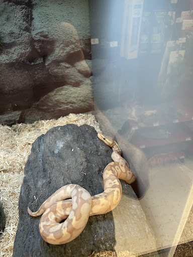 Pet Supply Store «Petco Animal Supplies», reviews and photos, 4915 E 41st St C, Tulsa, OK 74135, USA