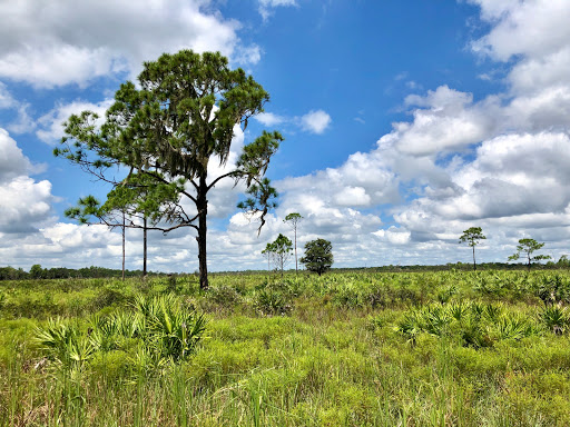 Nature Preserve «Duette Preserve», reviews and photos, 2649 Rawls Rd, Parrish, FL 34219, USA