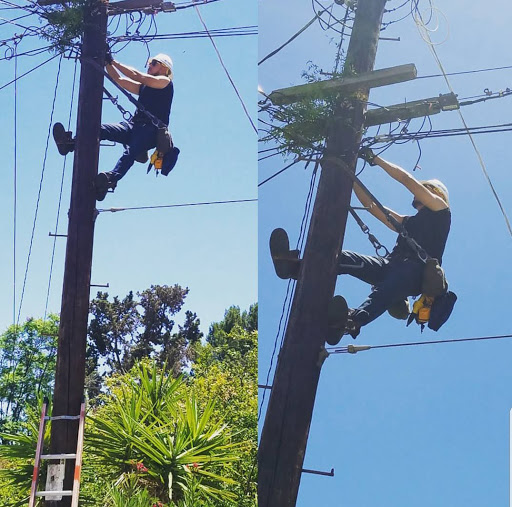 Shopping Mall «Melrose Ave Shopping District», reviews and photos, Melrose Ave, West Hollywood, CA 90048, USA