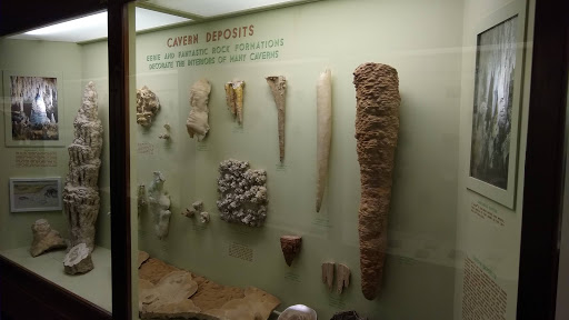 Museum «The Field Museum», reviews and photos, 1400 S Lake Shore Dr, Chicago, IL 60605, USA