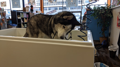 Pet Groomer «That Dog Wash», reviews and photos, 1401 Jackson St, Omaha, NE 68102, USA