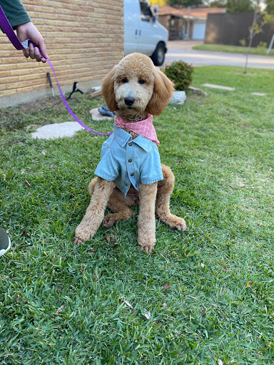 Pet Supply Store «Petco Animal Supplies», reviews and photos, 4030 N MacArthur Blvd #200, Irving, TX 75038, USA