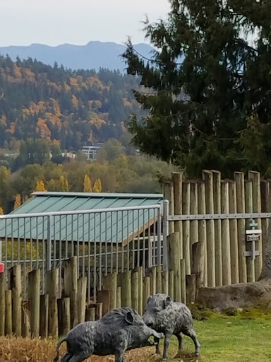 Zoo «Cougar Mountain Zoo», reviews and photos, 19525 SE 54th St, Issaquah, WA 98027, USA