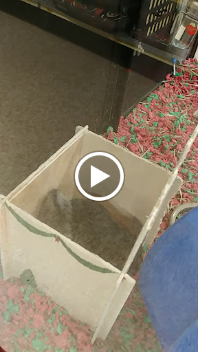 Pet Supply Store «PetSmart», reviews and photos, 9277 159th St, Orland Hills, IL 60487, USA