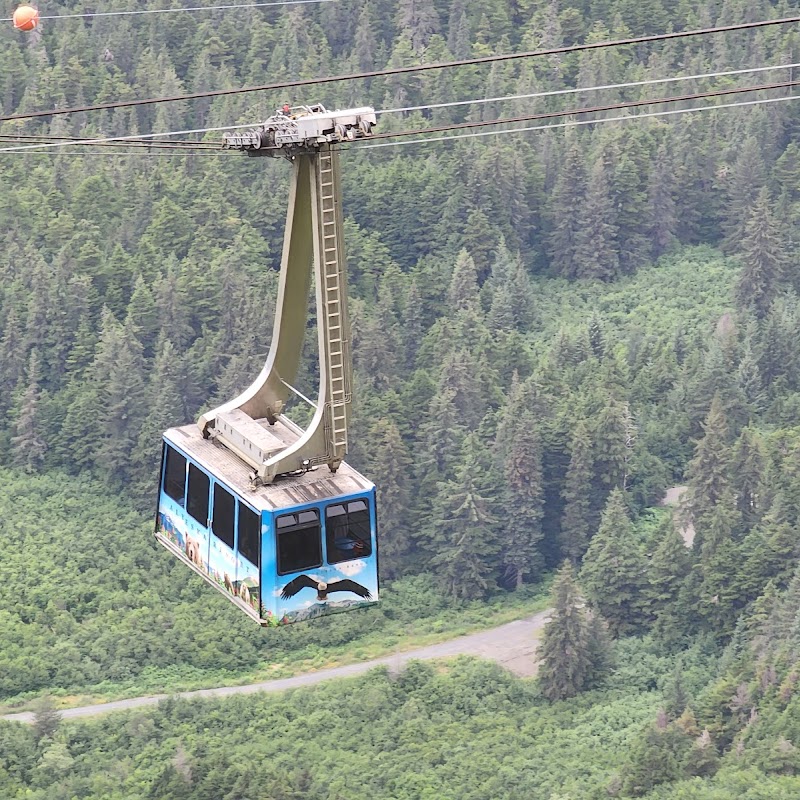 Alyeska Aerial Tram