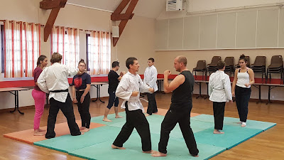 Viet Vu Dao Centre à Châteauneuf-sur-Loire