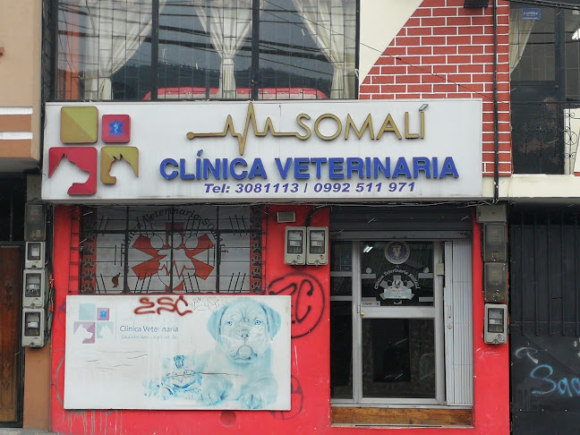 Clínica Veterinaria Somalí - Veterinario