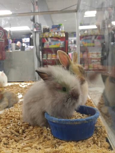 Pet Store «Fish Bowl», reviews and photos, 2117 E Race Ave, Searcy, AR 72143, USA