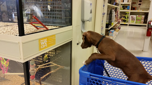 Pet Supply Store «PetSmart», reviews and photos, 159 N Weber Rd, Bolingbrook, IL 60490, USA