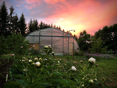 Organic Farm at the University of Guelph