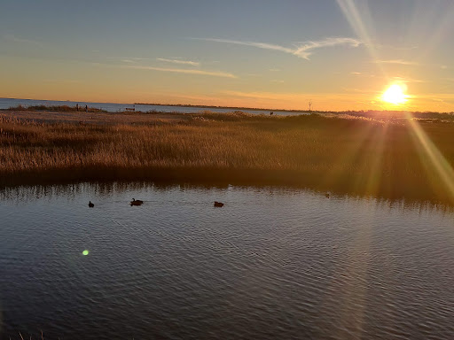 State Park «Silver Sands State Park», reviews and photos, 1 Silver Sands Park Way, Milford, CT 06460, USA
