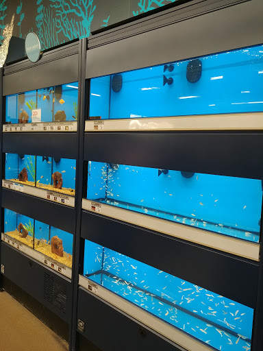 Pet Supply Store «Petco Animal Supplies», reviews and photos, 1514 Country Road 220, Fleming Island, FL 32003, USA