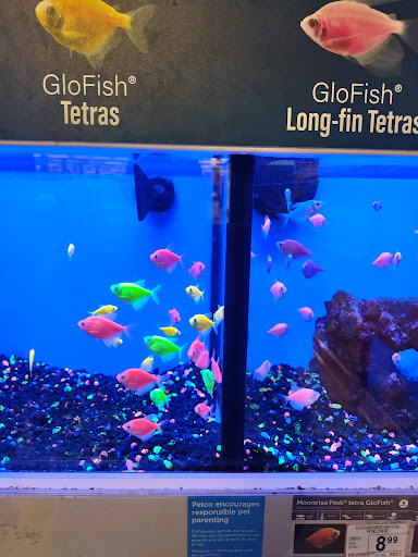 Pet Supply Store «Petco Animal Supplies», reviews and photos, 300 Hylan Dr, Rochester, NY 14623, USA