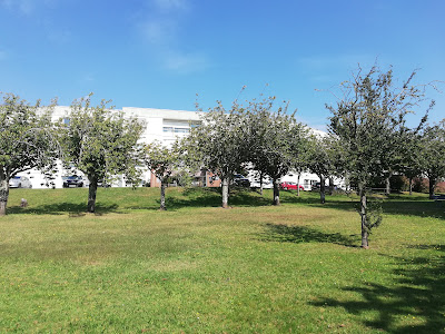 Centre de gérontologie clinique Francis Decker à Vannes