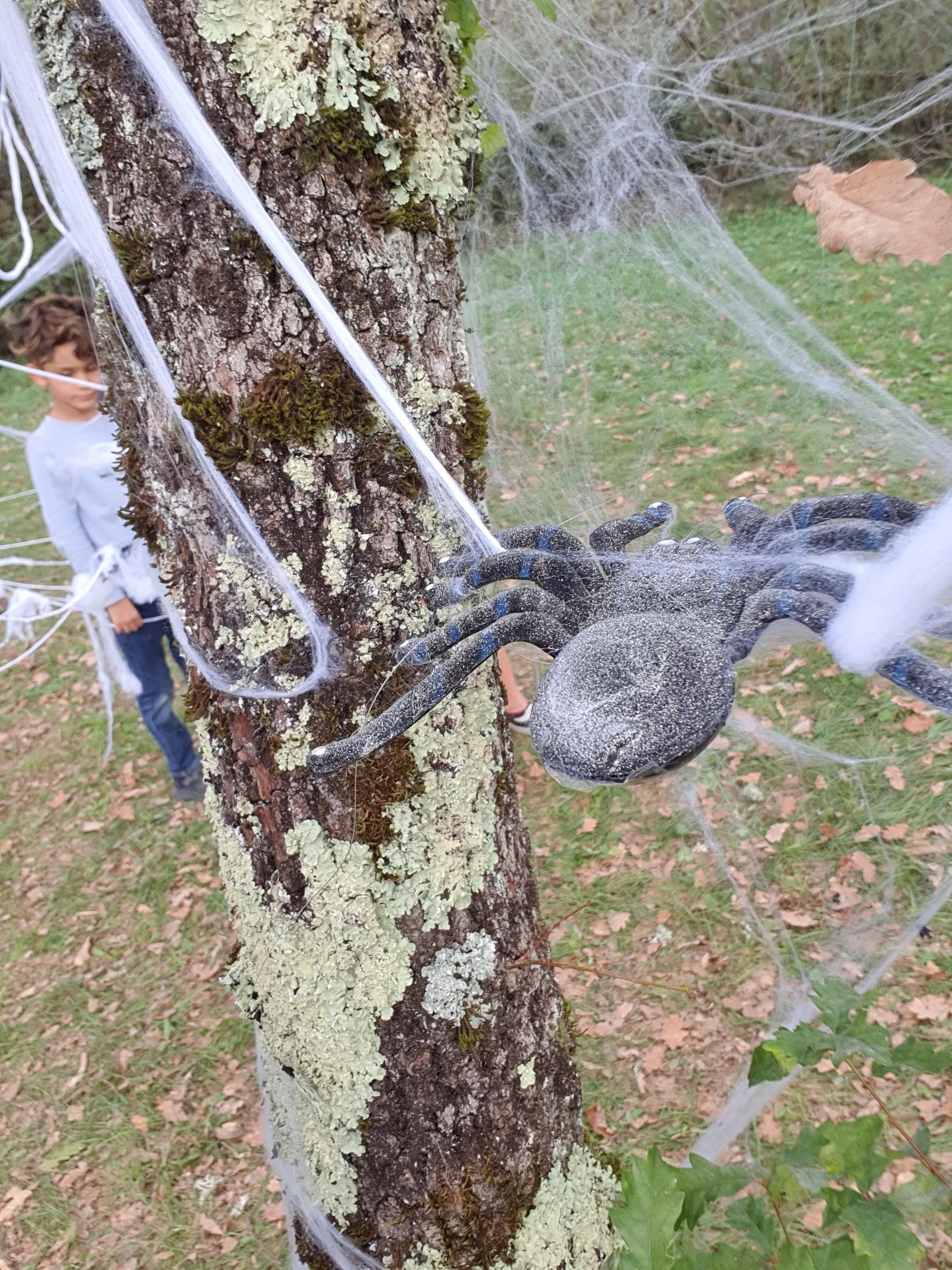 Photo n° 1 de l'avis de Rafika.a fait le 27/10/2022 à 16:34