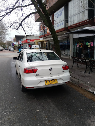 Taxi Parada Roosevelt - Canelones