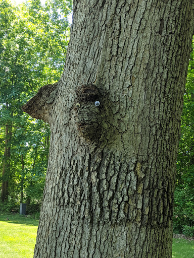 Golf Course «Tournament Club of Iowa», reviews and photos, 1000 Tradition Dr, Polk City, IA 50226, USA