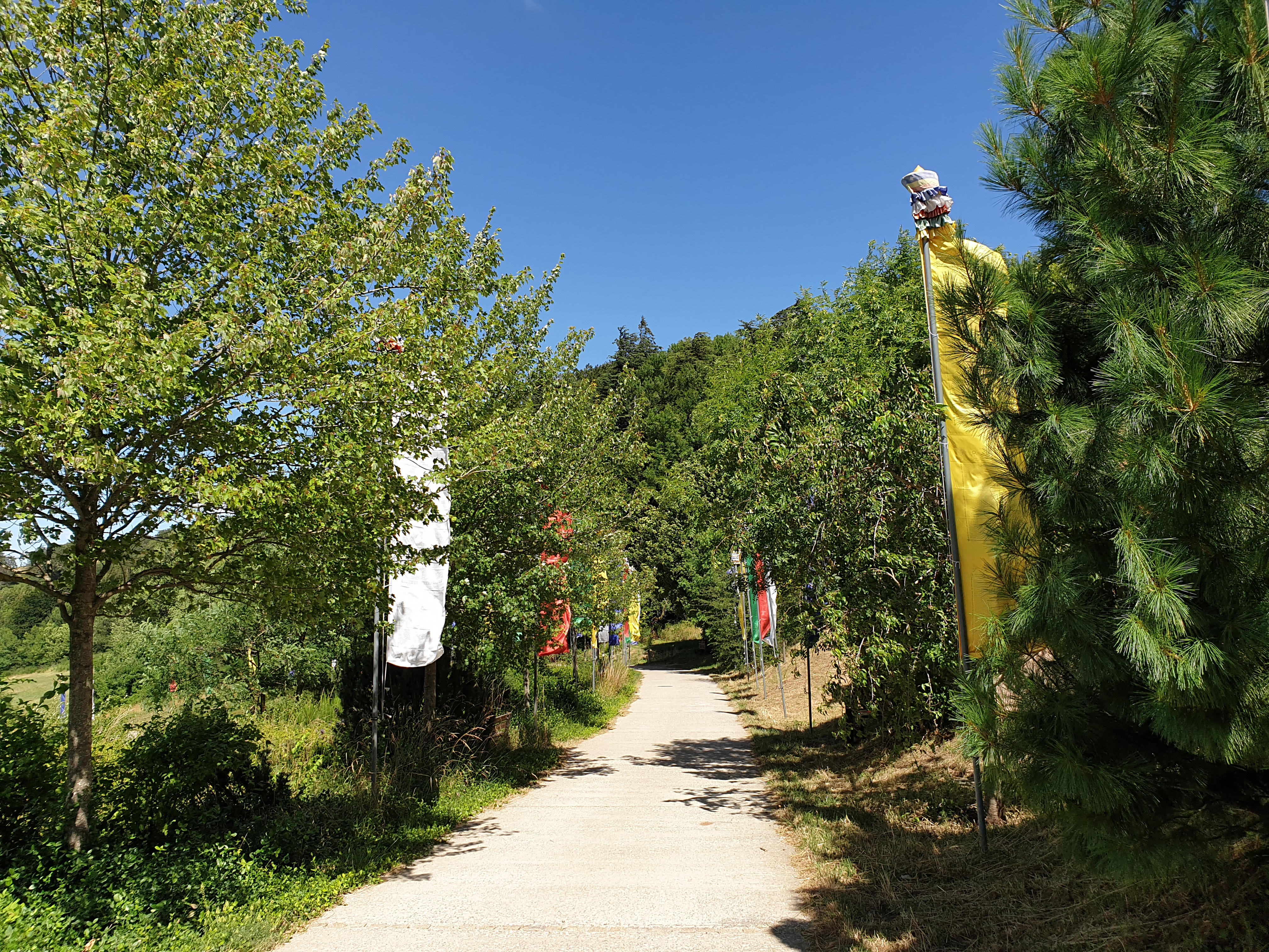 Photo n° 14 de l'avis de Lily.� fait le 19/07/2020 à 11:50